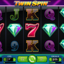 Twin Spin screenshot
