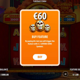 Catrina’s Coins screenshot