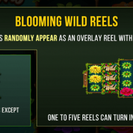 Wild Blooms screenshot