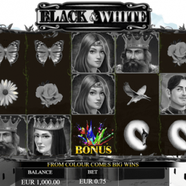 Black & White screenshot