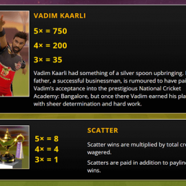 Cricket Fever screenshot