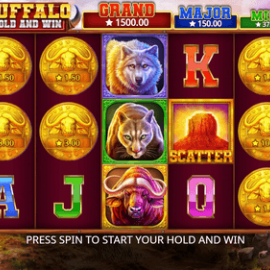 Buffalo Hold and Win screenshot