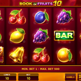 Book of Fruits 10 screenshot