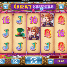 Cheeky Cheshire screenshot