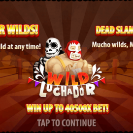 Wild Luchador screenshot