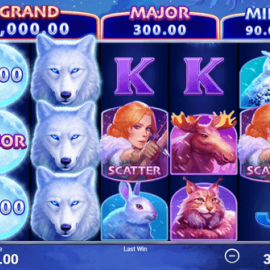 Wolf Saga: Hold and Win screenshot