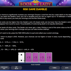 Book of Lady screenshot
