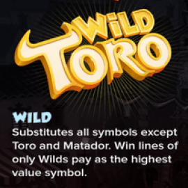 Wild Toro screenshot