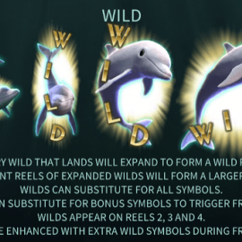 Aquatic Treasures screenshot