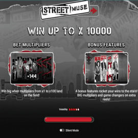Street Muse screenshot