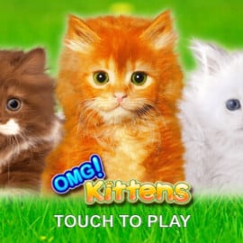 OMG Kittens screenshot