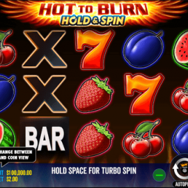 Hot to Burn Hold and Spin screenshot