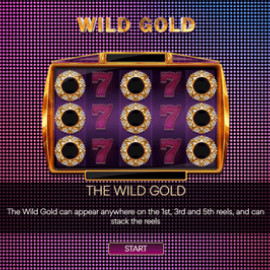 Wild Gold screenshot