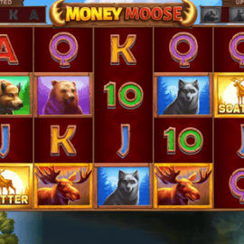 Money Moose screenshot