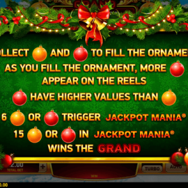Christmas Fortune screenshot