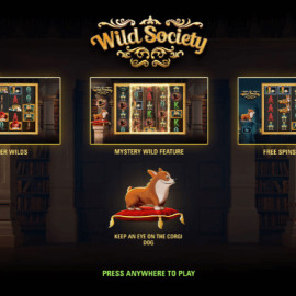 Wild Society screenshot