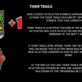 Way of the Tiger screenshot