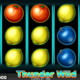 Thunder Wild screenshot