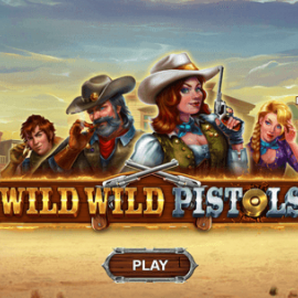 Wild Wild Pistols screenshot