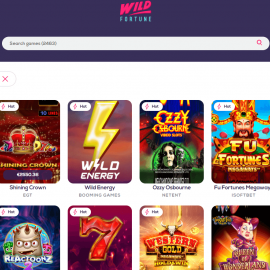 Wild Fortune Slots Interface