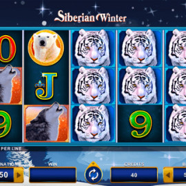 Siberian Winter screenshot