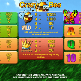 Crazy Bee screenshot