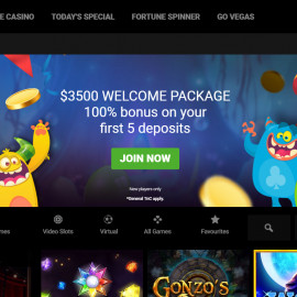 GoWild Casino screenshot