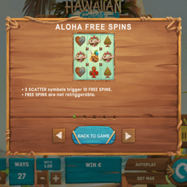 Hawaiian Fever screenshot