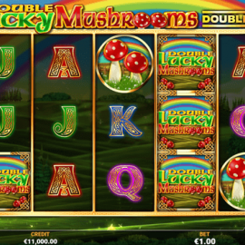 Double Lucky Mushrooms DoubleMax screenshot
