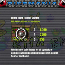 Bike Mania screenshot