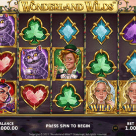 Wonderland Wilds screenshot