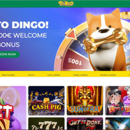 Dingo Casino screenshot