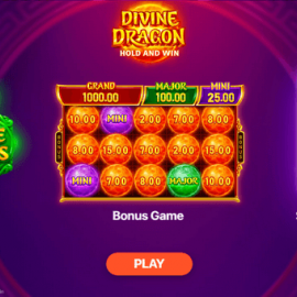 Divine Dragon: Hold and Win screenshot