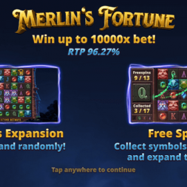 Merlin's Fortune screenshot