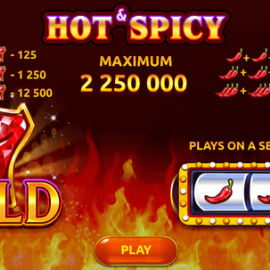 Hot&Spicy screenshot