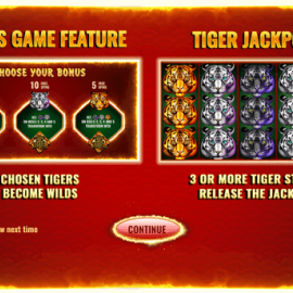 Chinese Tigers screenshot