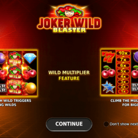 Joker Wild Blaster screenshot