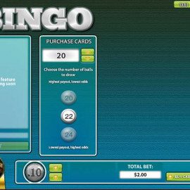 30-Ball Instant Bingo screenshot