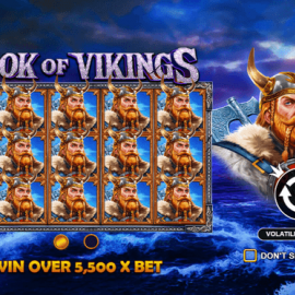 Book of Vikings screenshot
