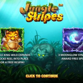 Jungle Stripes screenshot