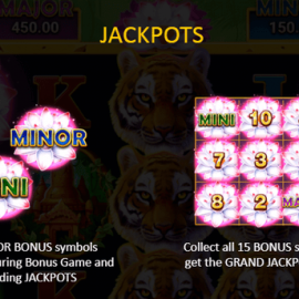 Tiger Jungle Hold and Win screenshot