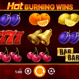 Hot Burning Wins screenshot
