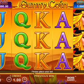 Sunny Coin: Hold the Spin screenshot
