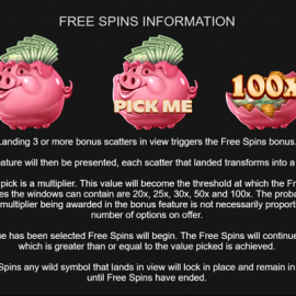 Big Piggy Bonus screenshot