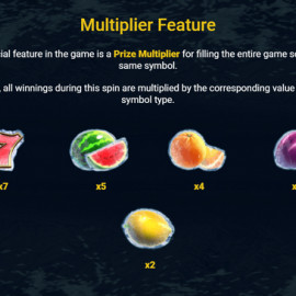 Hot Fruits on Ice screenshot