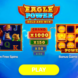Eagle Power: Hold and Win screenshot