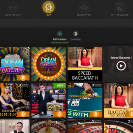 Screenshot of Fastpay Casino Live Dealer Game Interface