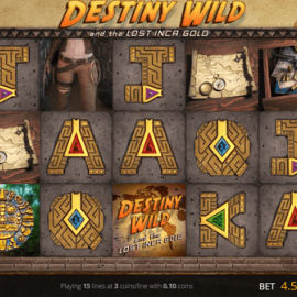 Destiny Wild screenshot