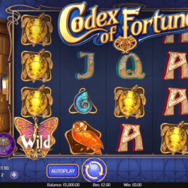 Codex of Fortune screenshot