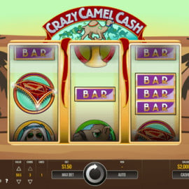 Crazy Camel Cash screenshot